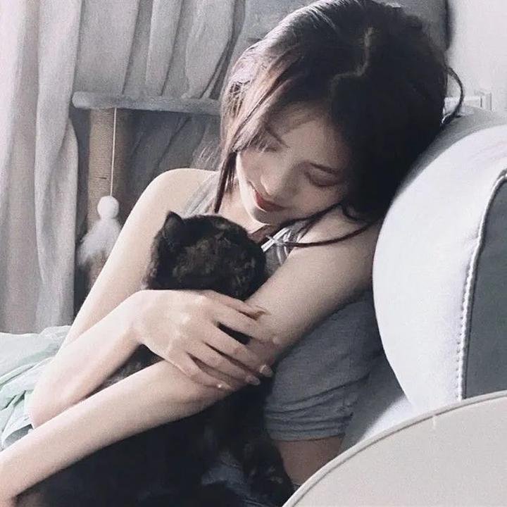 嘘，国王在冬眠 海报