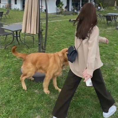 派特森与芬达猫4 海报